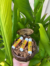 リップ リニュー トリオ | 3個セット