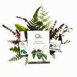 Rainforest Spa Ritual Gift Set