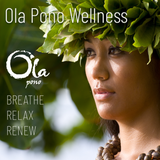 Ola Pono Herbal Mist