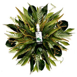 Ola Tropical Apothecary Gift Card