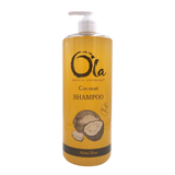 Coconut Shampoo
