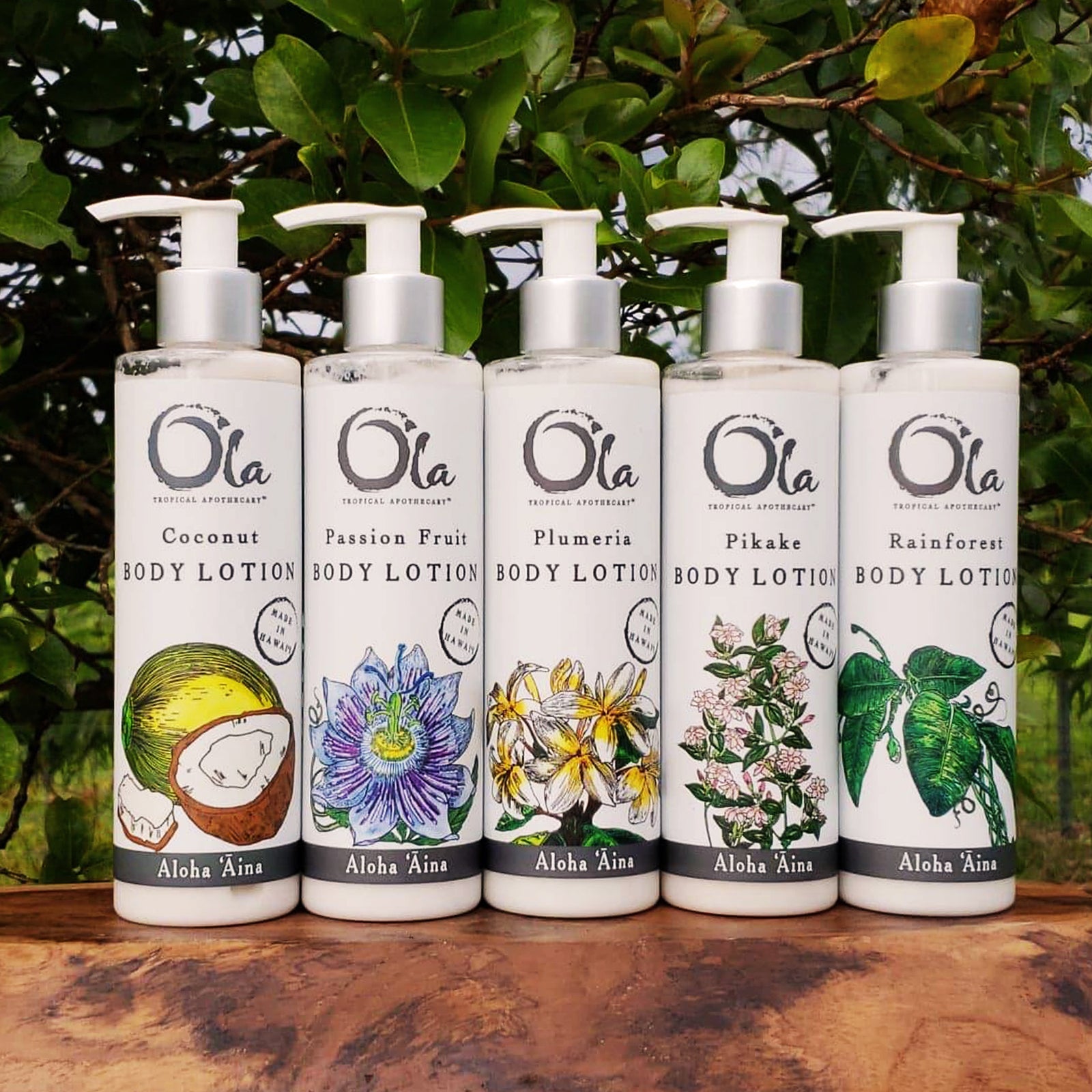 パッションフルーツ ボディローション| 236ml – Ola Tropical Apothecary