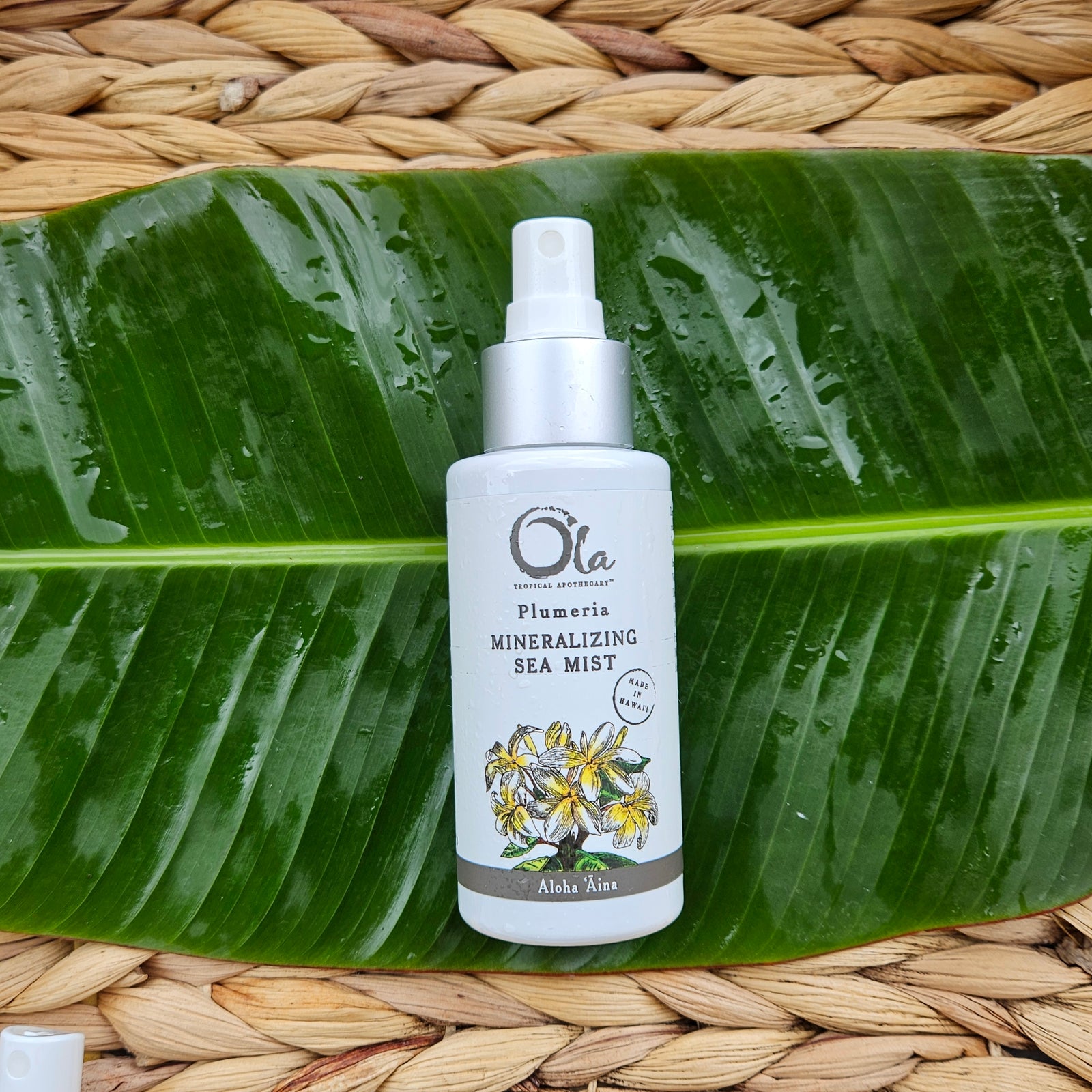 Plumeria Mineralizing Sea Mist | 3.4 fl oz – Ola Tropical Apothecary