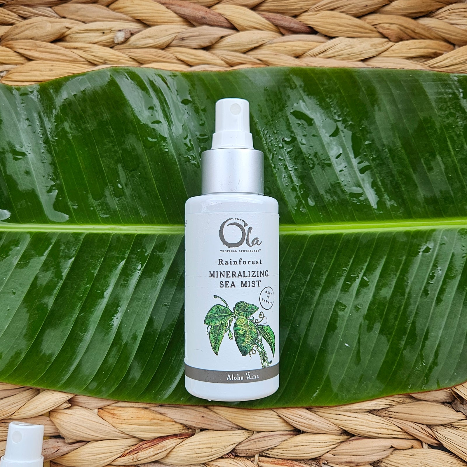 Rainforest Mineralizing Sea Mist | 3.4 fl oz – Ola Tropical Apothecary