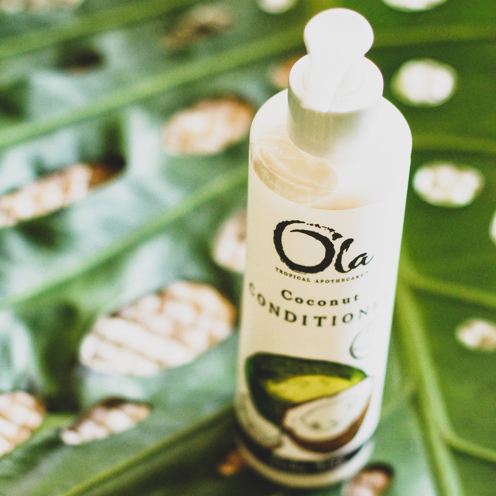 Coconut Conditioner – Ola Tropical Apothecary