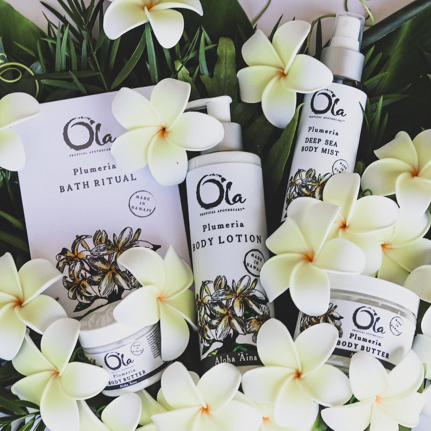 OlaTropicalApothecaryPlumeriaL