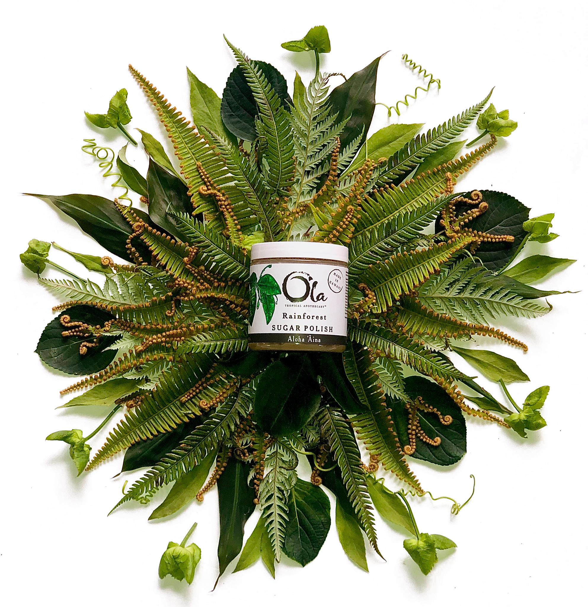 Rainforest Body Butter