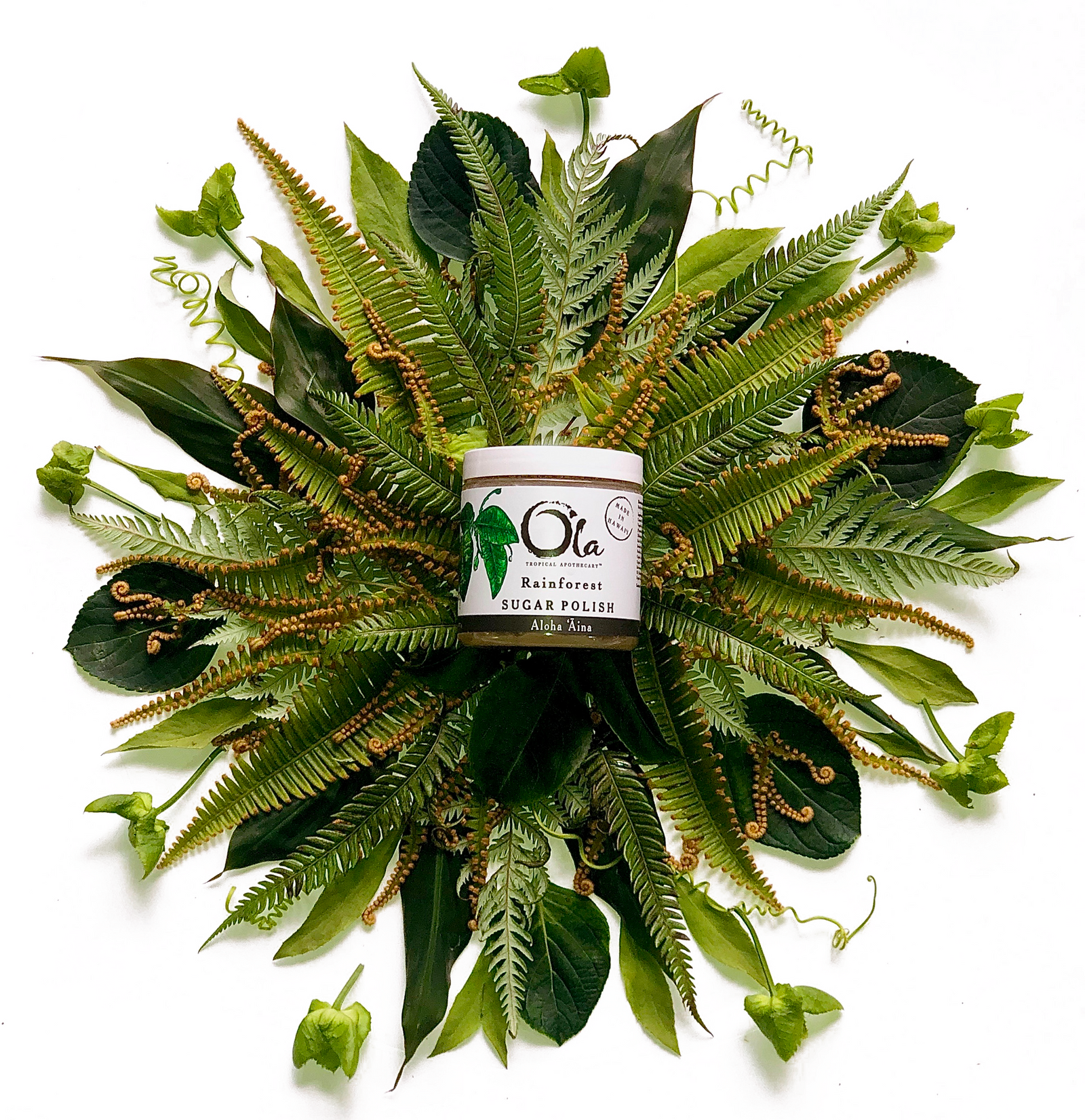 レインフォレスト ボディバター | 177ml – Ola Tropical Apothecary